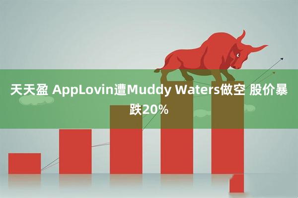 天天盈 AppLovin遭Muddy Waters做空 股价暴跌20%