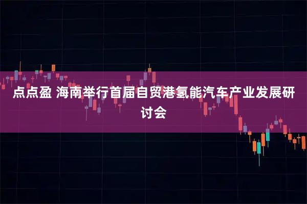 点点盈 海南举行首届自贸港氢能汽车产业发展研讨会