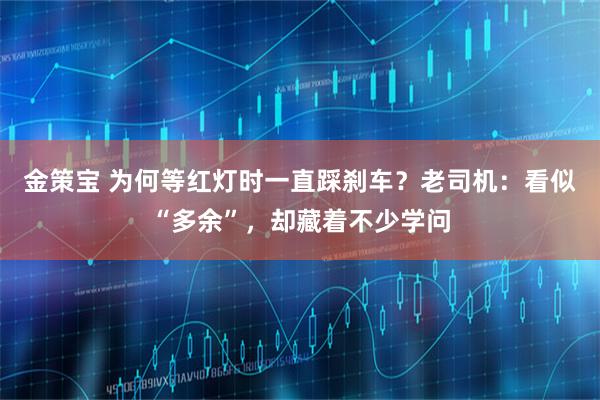 金策宝 为何等红灯时一直踩刹车？老司机：看似“多余”，却藏着不少学问